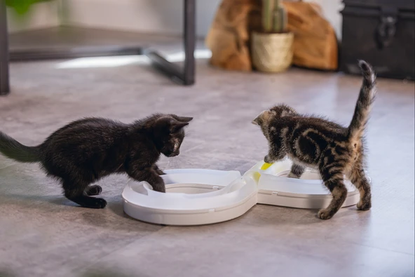 Beeztees Yavru Kedi Oyuncağı, 50x24x5,5cm - Resim 6