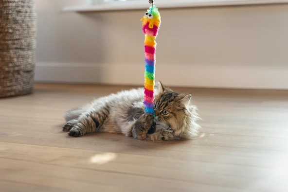 Beeztees Kedi Oltası, Zilli, Peluş Oyuncaklı, - Resim 2