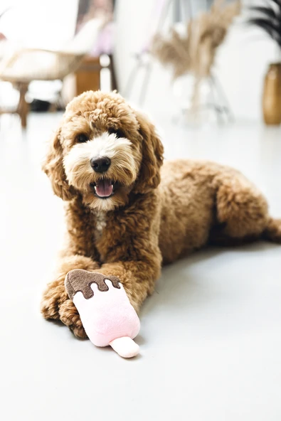 Beeztees Köpek Oyuncağı, Dondurma, Peluş, Pembe, 19x8x5cm - Resim 2