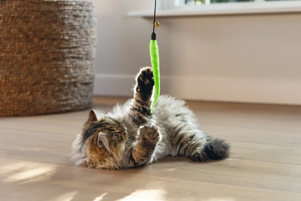 Beeztees Kedi Oltası, Zilli, Peluş Oyuncaklı, Çeşitli Renklerde, - Resim 7