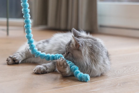 Beeztees Kedi Oltası, Peluş Toplar - Resim 2