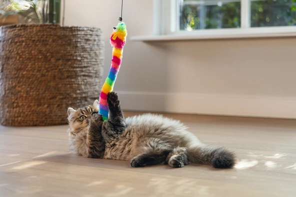 Beeztees Kedi Oltası, Zilli, Peluş Oyuncaklı, - Resim 3