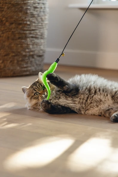 Beeztees Kedi Oltası, Zilli, Peluş Oyuncaklı, Çeşitli Renklerde, - Resim 2