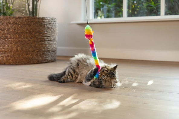 Beeztees Kedi Oltası, Zilli, Peluş Oyuncaklı, - Resim 8