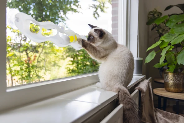 Beeztees Yavru Kedi Oyuncağı, Cama Tutturulabilir, 52x4x9cm - Resim 3