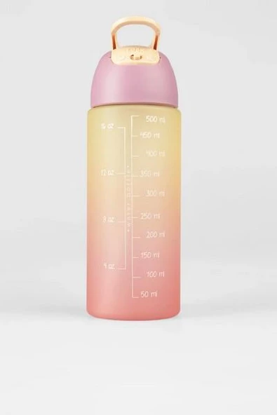 Vicco 25K.A25M.100-06 Quick Kız Çocuk Matara - 3