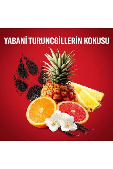 Old Spice Wolfthorn Erkekler Için Duş Jeli Ve Şampuan 400 ml - 6