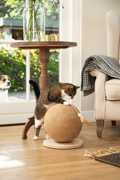 Beeztees DBL Kedi Tırmalama ve Oyuncağı, 30x31x31,5cm - Resim 2