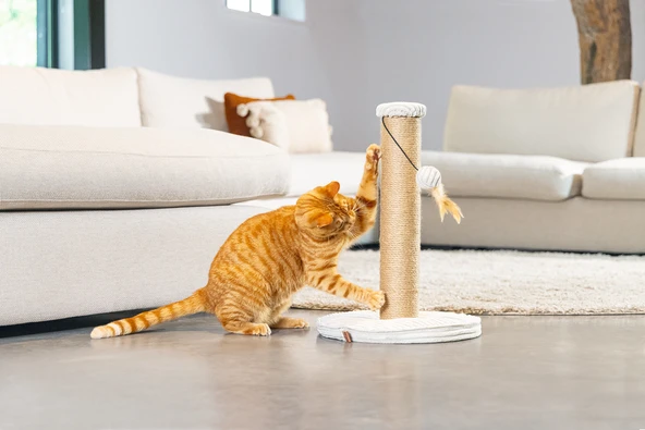 Beeztees DBL Kedi Tırmalama ve Oyuncağı, Açık Gri, 35x35x50cm - Resim 3