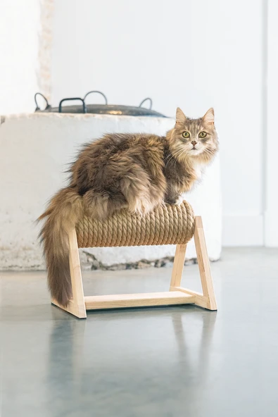 Beeztees DBL Kedi Tırmalama, 36x29,5x28cm - Resim 5