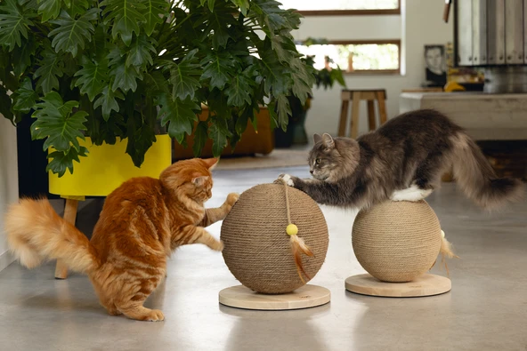 Beeztees DBL Kedi Tırmalama ve Oyuncağı, 30x31x31,5cm - Resim 8