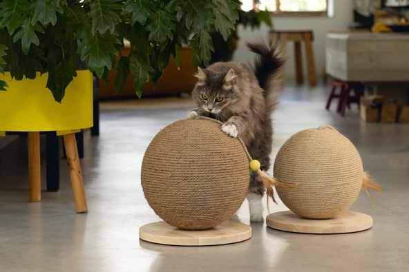 Beeztees DBL Kedi Tırmalama ve Oyuncağı, 30x31x31,5cm - Resim 7