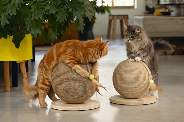 Beeztees DBL Kedi Tırmalama ve Oyuncağı, 30x31x31,5cm - Resim 9