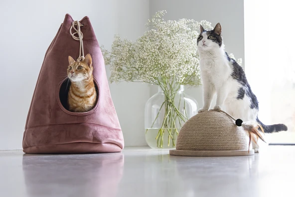 Beeztees DBL Kedi Tırmalama ve Oyuncağı, 34,5x34,5x18cm - Resim 11