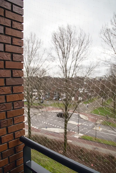 Beeztees Kedi Pencere veya Balkon Koruma Filesi, Şeffaf, 4x3m ürün görseli