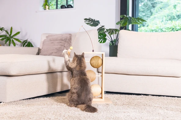 Beeztees DBL Kedi Tırmalama ve Oyuncağı, 34,5x29,5x50cm - Resim 4