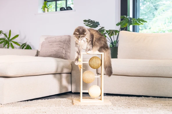 Beeztees DBL Kedi Tırmalama ve Oyuncağı, 34,5x29,5x50cm - Resim 9