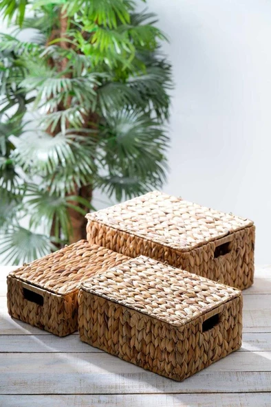 Wicker 3 lü Dekoratif Kapaklı Hasır Sepet - Resim 2