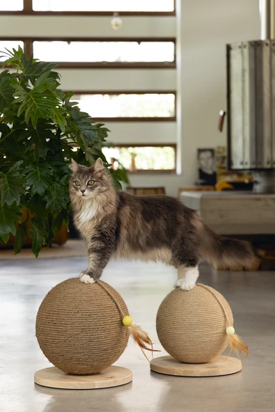 Beeztees DBL Kedi Tırmalama ve Oyuncağı, 30x31x31,5cm - Resim 4