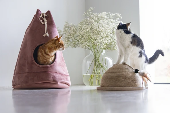 Beeztees DBL Kedi Tırmalama ve Oyuncağı, 34,5x34,5x18cm - Resim 9