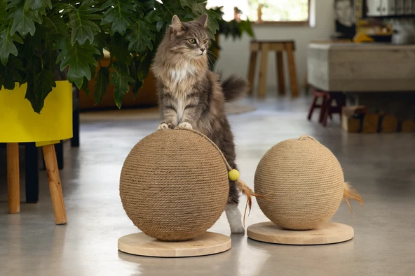 Beeztees DBL Kedi Tırmalama ve Oyuncağı, 30x31x31,5cm - Resim 5