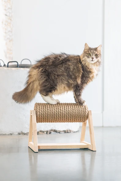 Beeztees DBL Kedi Tırmalama, 36x29,5x28cm - Resim 2