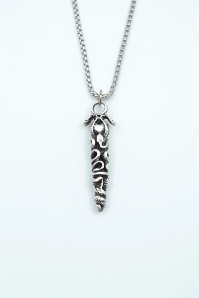 Çift Yılanlı Çubuk Gümüş Kaplama Örme Zincir Kolye ürün görseli 1