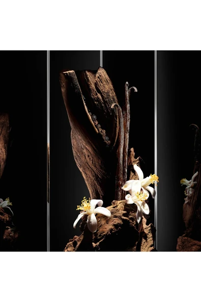 YVES SAİNT LAURENT Myslf Le Parfum 100 ml Erkek Parfüm 3614274114645 - Resim 4