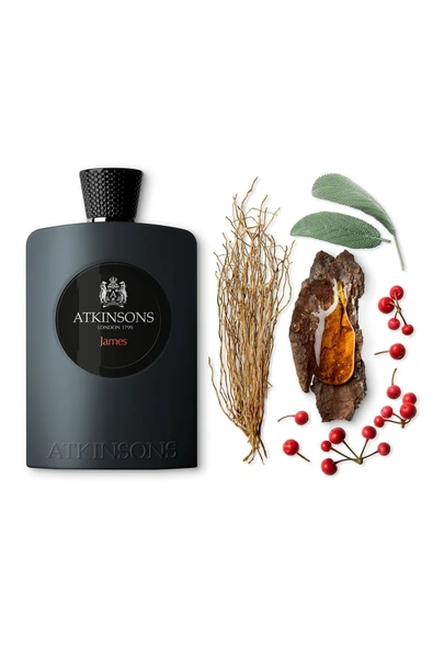 ATKİNSONS James Edp 100 ml Erkek Parfüm - Resim 3