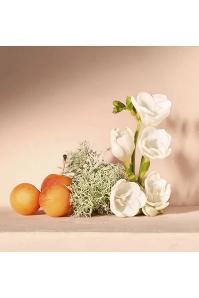 CHLOE No Made Eau De C019520 75ml Kadın Parfüm - Resim 4