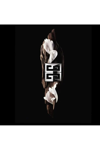 GİVENCY Gentleman Society Edp Parfüm 100ml - Resim 4