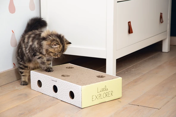 Beeztees Yavru Kedi Karton Tırmalama ve Oyuncağı, 25x42x10cm - Resim 6