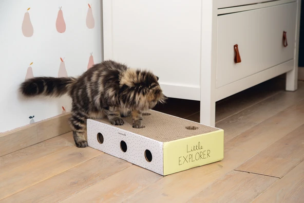 Beeztees Yavru Kedi Karton Tırmalama ve Oyuncağı, 25x42x10cm - Resim 2
