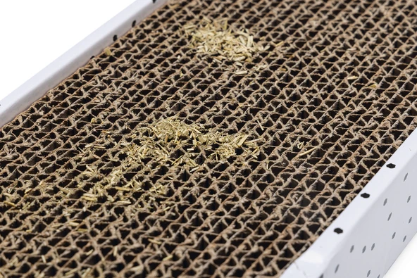 Beeztees Kedi Karton Tırmalama Kutusu ve Kediotu, 47x12,5x4,5cm - Resim 2