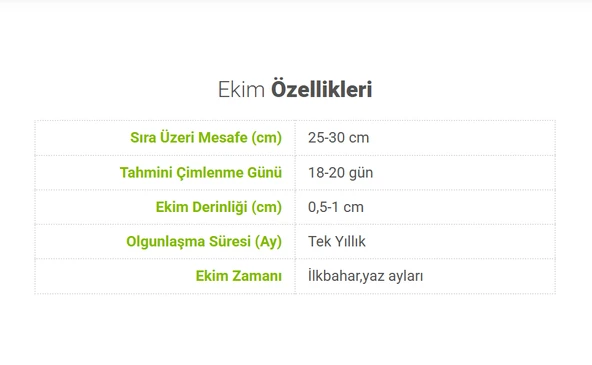 ByKurt Sunagri Yeşil Reyhan Tohumu - Aromatik, Sinek Kovucu, Tek Yıllık, Bahçe ve Saksı İçin - 4