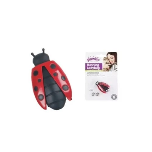 Uğur Böceği Hareketli Kedi Oyuncağı TdrTR