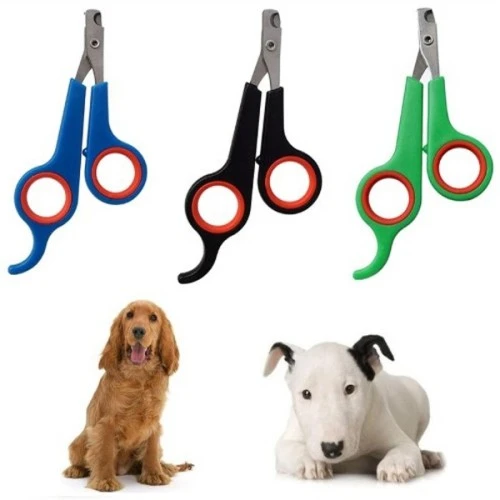 Renkli Kedi Köpek Tırnak Makası TdrTR
