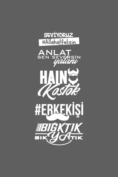 Oto Arka Cam Sticker  40*20 Cm BEYAZ MODEL:2