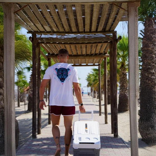 Worx WX876.9 12/24/220Volt 22Litre Kompresörlü Outdoor Oto Buzdolabı (Akü Dahil Değildir) - Resim 8