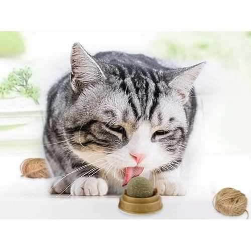 Kedi Otu Oyun Topu Cat Mint TdrTR