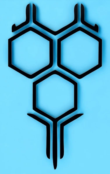 Seat Için  ÖN KAPUT PETEK  Oto Sticker