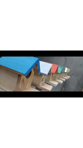 Ahşap Kuş Yuvası - 3