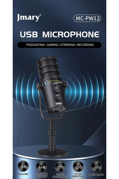 Coverzone Profesyonel Stüdyo Mikrofon, Dinamik Aralık – 88dB, Hassasiyet -43dB±1dB, Yayıncı Mikrofonu PW12 - Resim 2