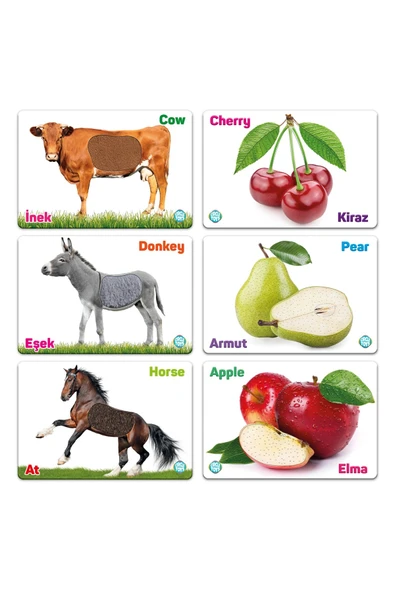 Ilk Dokun Hisset Kartlarım Çiftlik Hayvanları Ve Meyveler (9 Kart 18 Görsel) Türkçe Ingilizce - 6