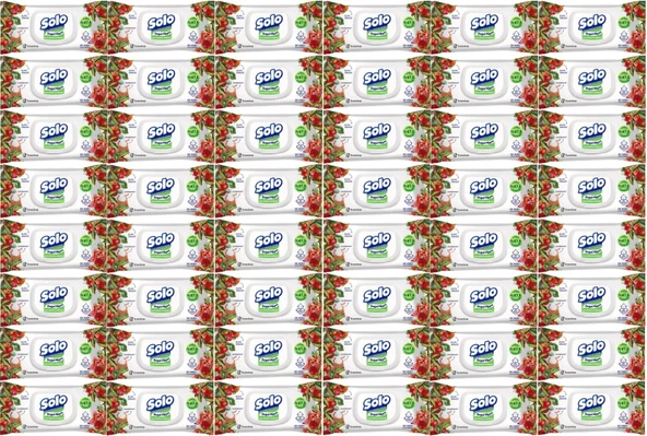 Solo Islak Havlu Mendil 50 Yaprak Elma Sirkesi & Karbonat (48 Li Set) (16PK*3) 2400 Yaprak - 1
