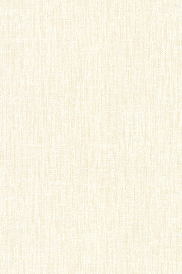 9560 Hasır Görünümlü Sade Duvar Kağıdı 5 M² - 2