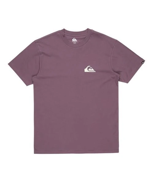 Quiksilver EQYZT08042-PQC0 Ev Mini Logo Ss Erkek Spor Tişört - 6