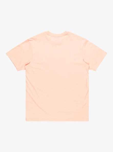 Quiksilver EQYZT08045-MEF0 Ev Gradient Box Ss Erkek Spor Tişört - 6