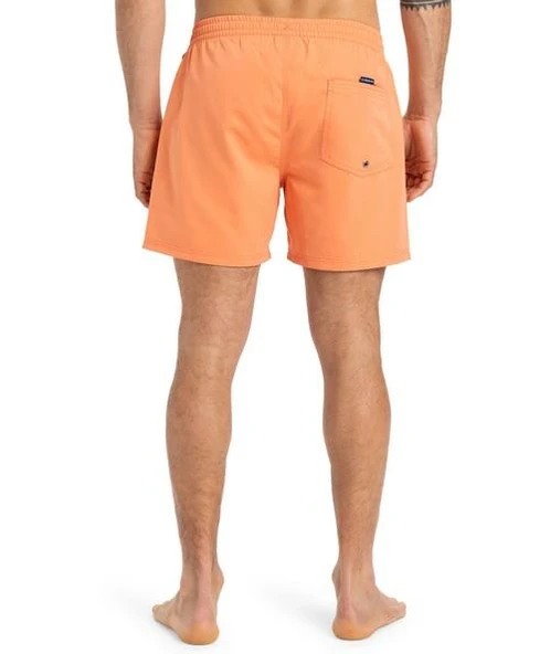 Quiksilver EQYJV04120-802 Everyday Solid Volley 15 Erkek Şort Mayo - Resim 3