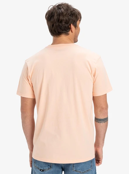 Quiksilver EQYZT08045-MEF0 Ev Gradient Box Ss Erkek Spor Tişört - 4